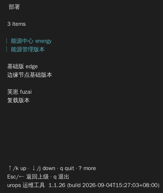 选择部署版本